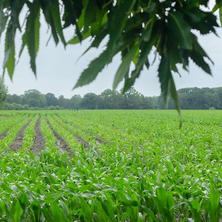 Hermans Huisje: Het Mooiste Uitzicht Van Twente? Haaksbergen Exterior foto